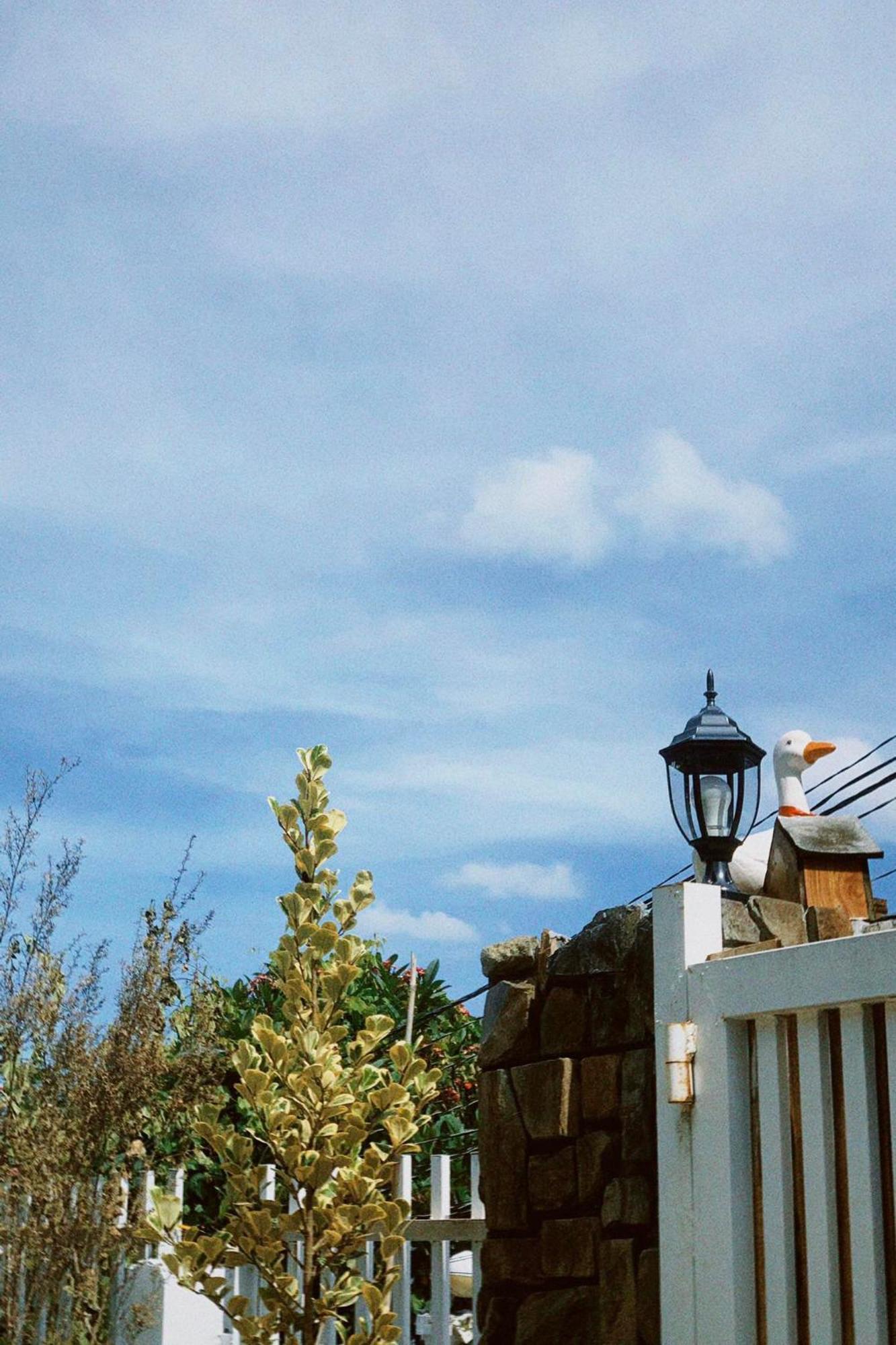 Chai Nho Homestay Dalat Luaran gambar