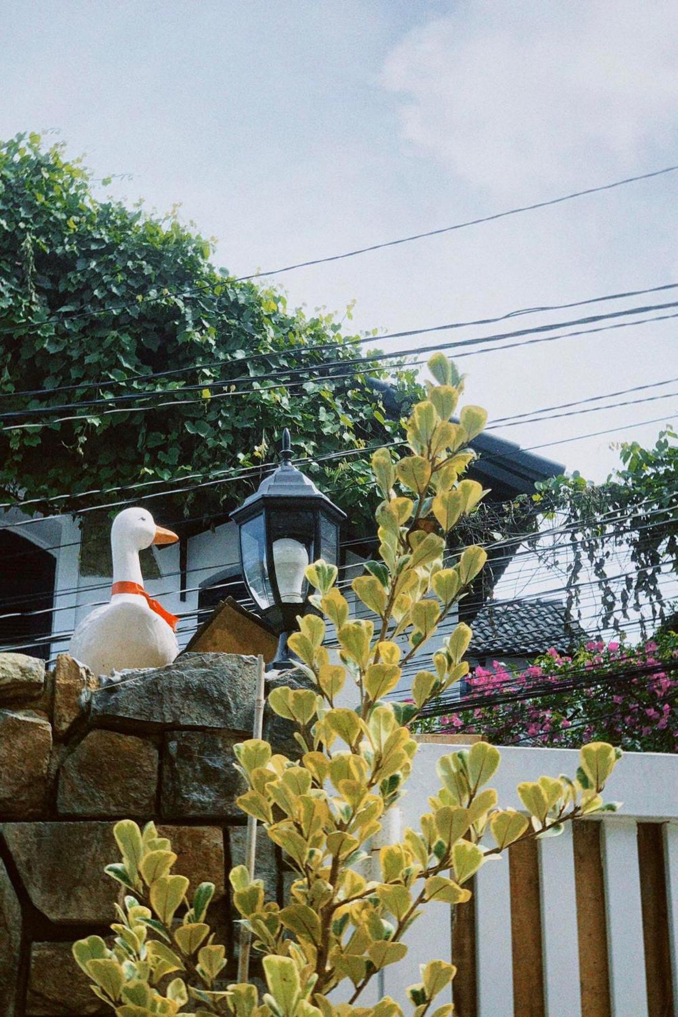 Chai Nho Homestay Dalat Luaran gambar